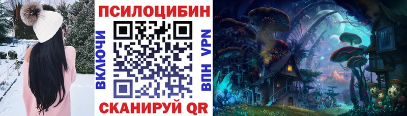 Купить закладки  Кологрив  Галлюциногенные грибы MAGIC MUSHROOMS 